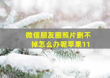 微信朋友圈照片删不掉怎么办呢苹果11