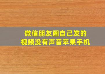 微信朋友圈自己发的视频没有声音苹果手机