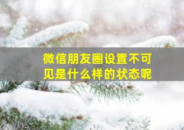 微信朋友圈设置不可见是什么样的状态呢