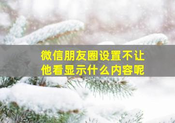 微信朋友圈设置不让他看显示什么内容呢