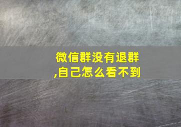 微信群没有退群,自己怎么看不到