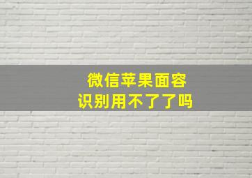 微信苹果面容识别用不了了吗