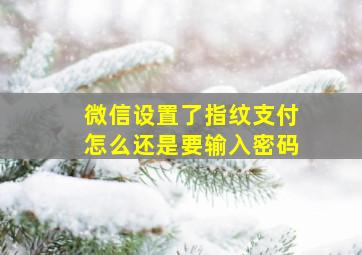 微信设置了指纹支付怎么还是要输入密码