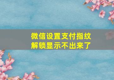 微信设置支付指纹解锁显示不出来了