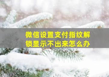 微信设置支付指纹解锁显示不出来怎么办