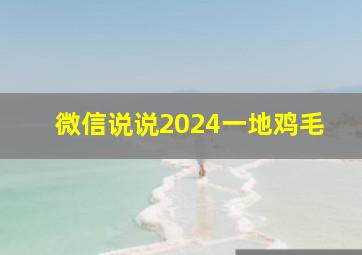 微信说说2024一地鸡毛