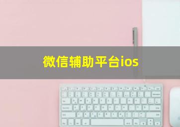 微信辅助平台ios