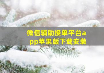 微信辅助接单平台app苹果版下载安装