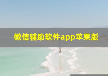 微信辅助软件app苹果版