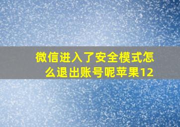 微信进入了安全模式怎么退出账号呢苹果12