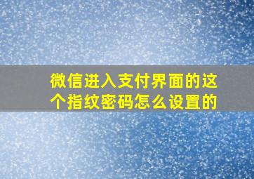 微信进入支付界面的这个指纹密码怎么设置的