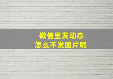 微信里发动态怎么不发图片呢