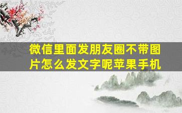 微信里面发朋友圈不带图片怎么发文字呢苹果手机