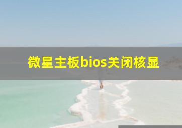 微星主板bios关闭核显