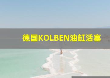 德国KOLBEN油缸活塞