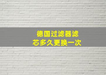 德国过滤器滤芯多久更换一次