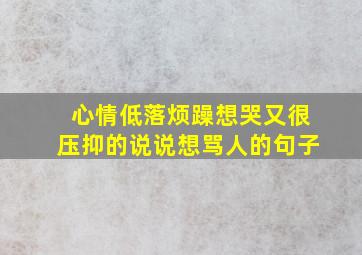 心情低落烦躁想哭又很压抑的说说想骂人的句子