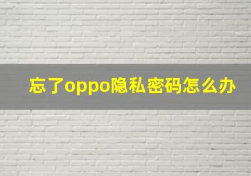 忘了oppo隐私密码怎么办