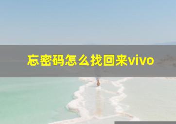 忘密码怎么找回来vivo