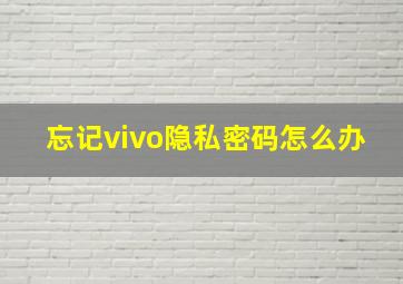 忘记vivo隐私密码怎么办