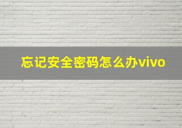 忘记安全密码怎么办vivo