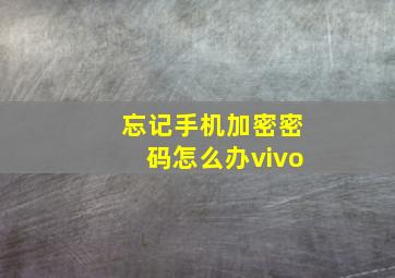 忘记手机加密密码怎么办vivo