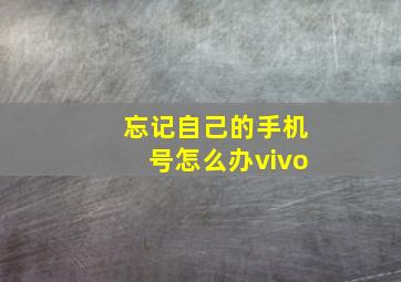 忘记自己的手机号怎么办vivo