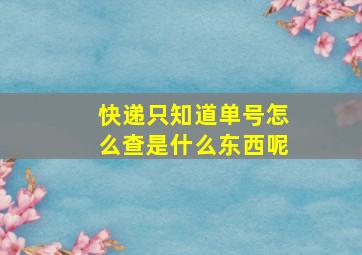 快递只知道单号怎么查是什么东西呢