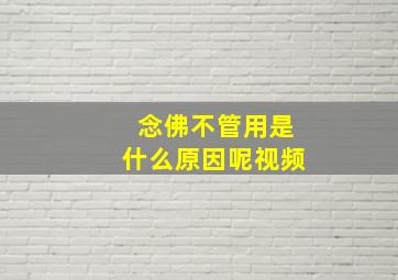 念佛不管用是什么原因呢视频