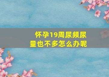 怀孕19周尿频尿量也不多怎么办呢