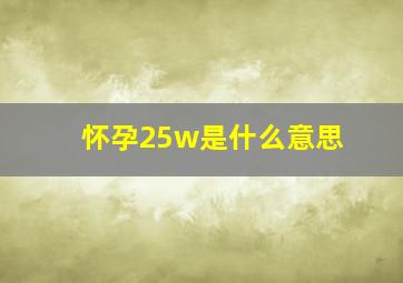 怀孕25w是什么意思