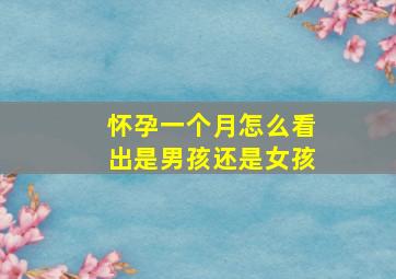 怀孕一个月怎么看出是男孩还是女孩