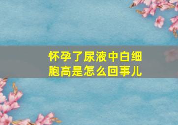 怀孕了尿液中白细胞高是怎么回事儿