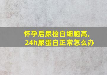 怀孕后尿检白细胞高,24h尿蛋白正常怎么办