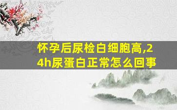 怀孕后尿检白细胞高,24h尿蛋白正常怎么回事