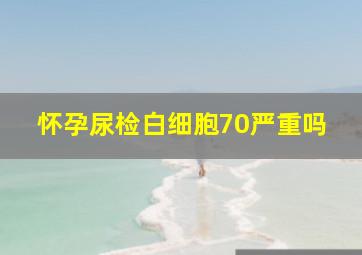 怀孕尿检白细胞70严重吗