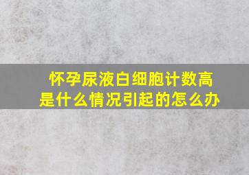 怀孕尿液白细胞计数高是什么情况引起的怎么办