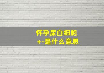 怀孕尿白细胞+-是什么意思