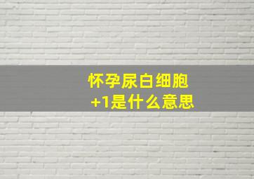 怀孕尿白细胞+1是什么意思