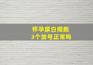 怀孕尿白细胞3个加号正常吗