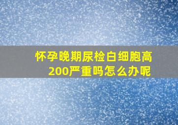 怀孕晚期尿检白细胞高200严重吗怎么办呢