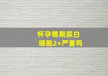 怀孕晚期尿白细胞2+严重吗