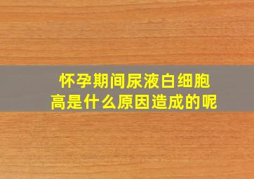 怀孕期间尿液白细胞高是什么原因造成的呢