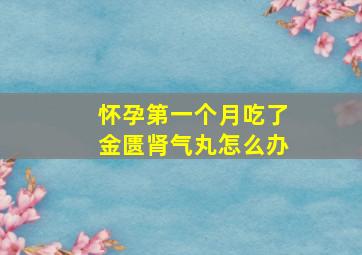 怀孕第一个月吃了金匮肾气丸怎么办