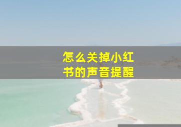 怎么关掉小红书的声音提醒