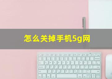 怎么关掉手机5g网