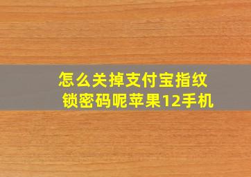 怎么关掉支付宝指纹锁密码呢苹果12手机