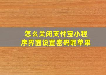 怎么关闭支付宝小程序界面设置密码呢苹果