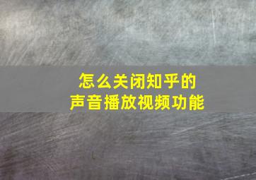 怎么关闭知乎的声音播放视频功能