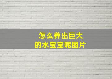 怎么养出巨大的水宝宝呢图片